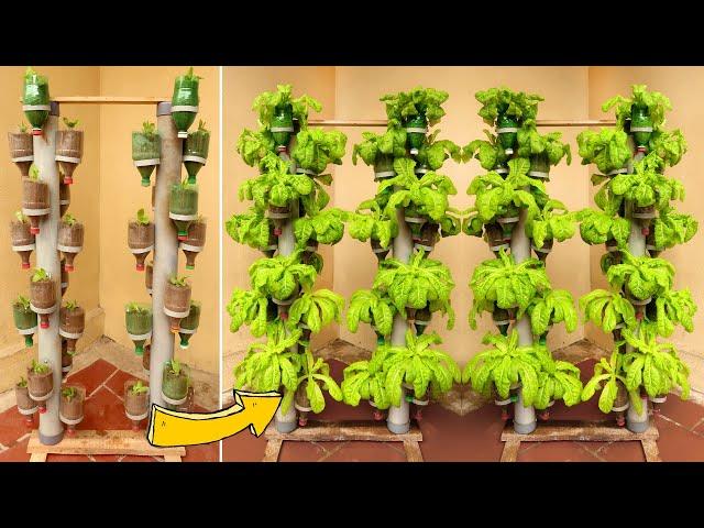 Brilliant Idea | Recycling Plastic Bottles into Vertical Vegetable Garden