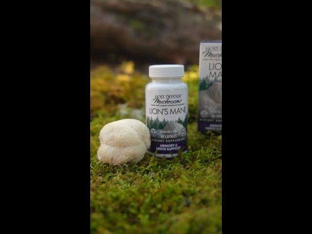 Host Defense Lion’s Mane Capsules