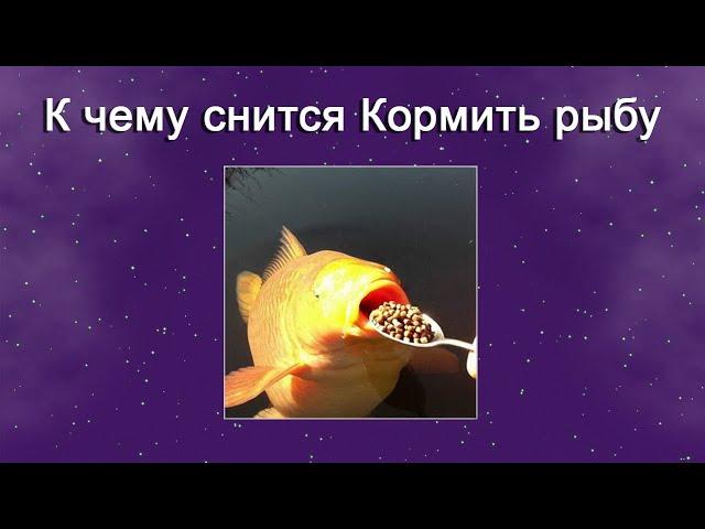 К чему снится Кормить рыбу – толкование сна по Соннику