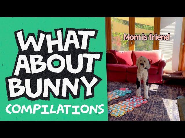 Hear, Human Water Sound, Beach, Bunny Forgets! | What About Bunny