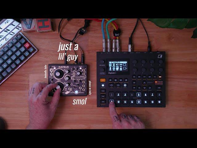 Beat From Scratch With the Instruo Seashell