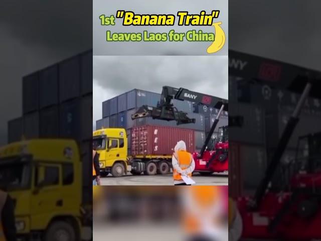 #1st #"banana train" leaves #Laos for #China #transportation