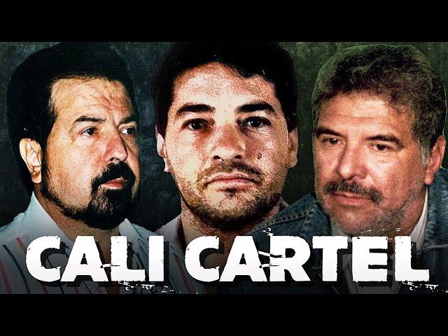 The Rise and Fall of the Cali Cartel : Its Wealth and Power