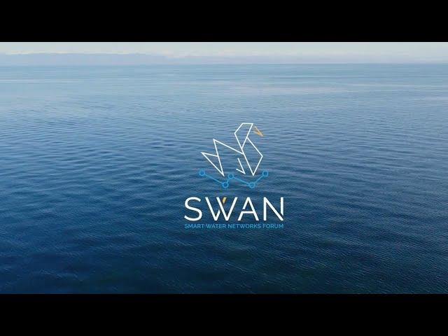 Maximise Your SWAN Membership