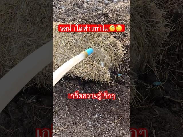 วิถีเด็กกะเสดสาส Ep.0018 #เกษตรผสมผสาน #เกษตรอินทรีย์ #เปิดการมองเห็น