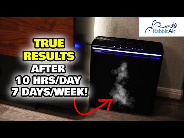 How To Smoke Cigars Indoors?! My NEW Home Cigar Lounge Setup Testing The Rabbit Air A3 Air Purifier!