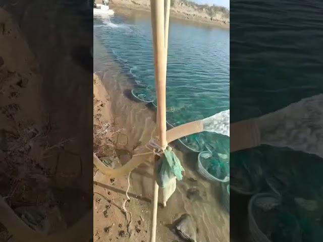 Увлекательная  прогулка на  частном пруду