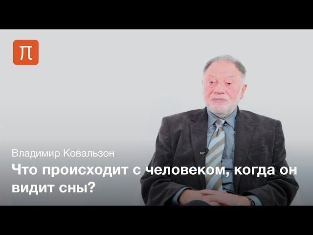 Осознанные сновидения — Владимир Ковальзон / ПостНаука