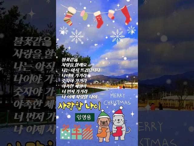 #임영웅 #사랑할나이 #shorts #성탄절 #메리크리스마스