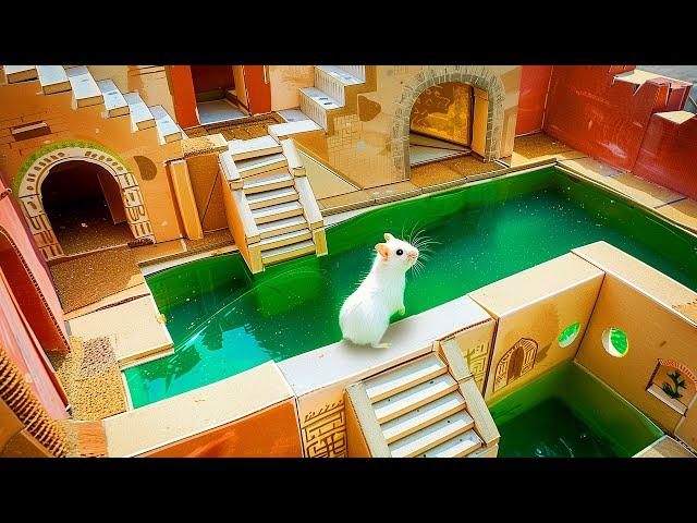 "Hamster Maze Expedition: Journey Through the Impossible!"