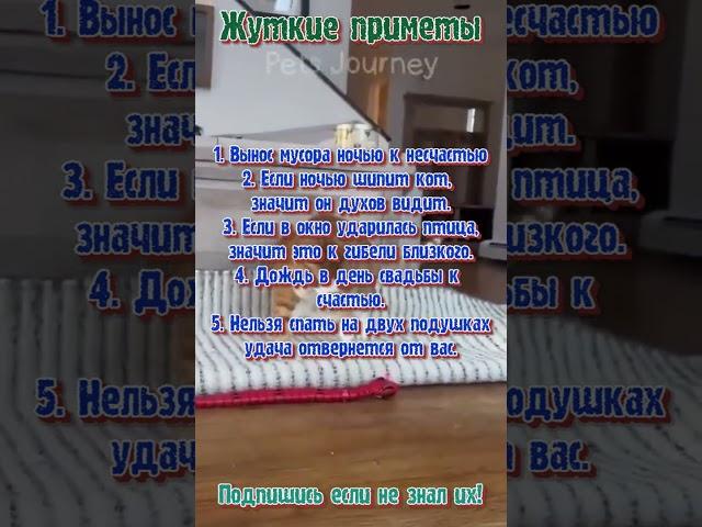 Жуткие приметы которые нужно знать  neilbm10  #гороскоп #знакизодиака #астрология