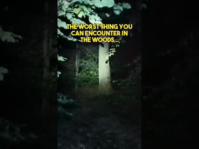 NEVER Go in These Woods Alone…