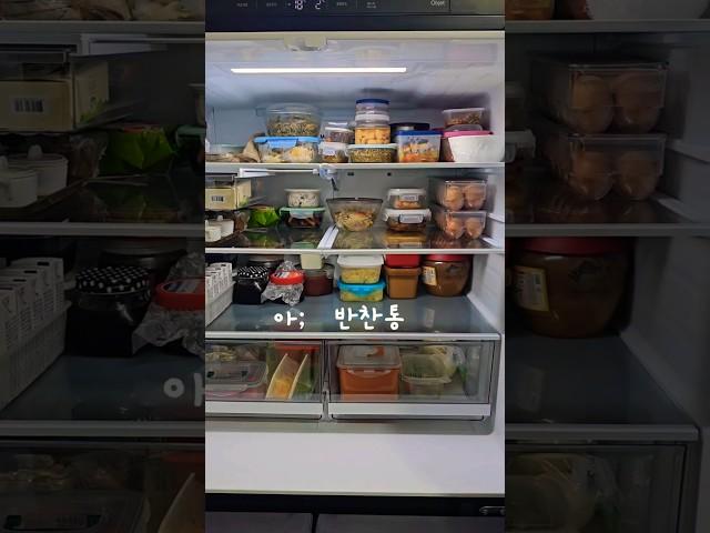 저희집 냉장고정리 구경하실래여?