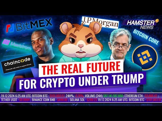 Trump’s impact on crypto, first BNB fund in US, Young Bitcoin genius ️ Hamster News