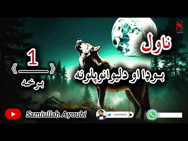 بوډا او دلیوانوپلونه ناول لومړۍ اوخوندوره برخه امیدلرم چې دغه خوندورناول ترپایه پوری راسره واوري.