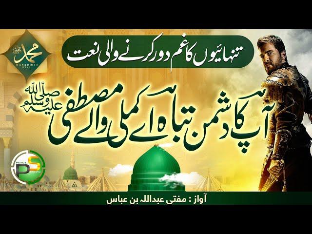 Beautiful Emotional Naat - Kamli Walay Mustafa ﷺ - Mufti Abdullah Bin Abbas - Peace Studio