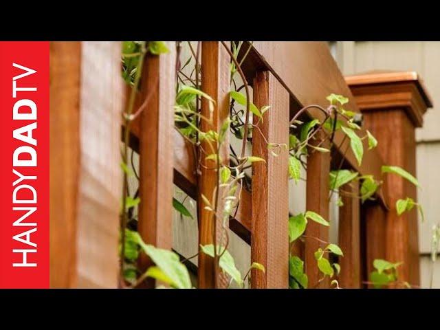 Build a DIY Trellis in a Weekend