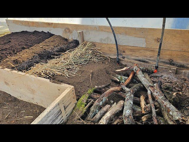 Use old branches and make the most fruitful garden for your vegetables - you won't regret it