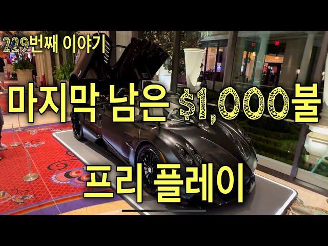 코스모폴리탄 라스베가스 에서 준 프리플레이 $1,000불 pt.2