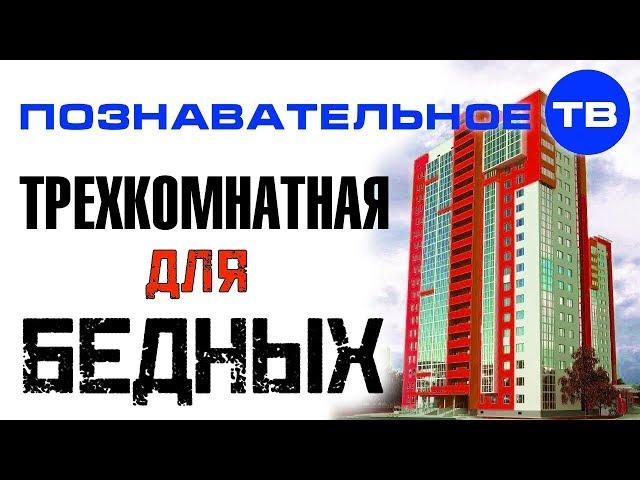 Квартирный взгляд: Трёхкомнатная для бедных (Познавательное ТВ, Артём Войтенков)