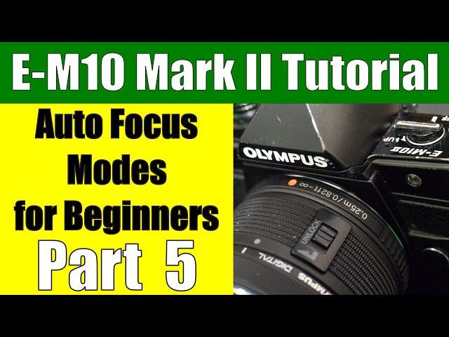 Olympus OM-D E-M10 II: Auto-focus Modes for Beginners Part 5