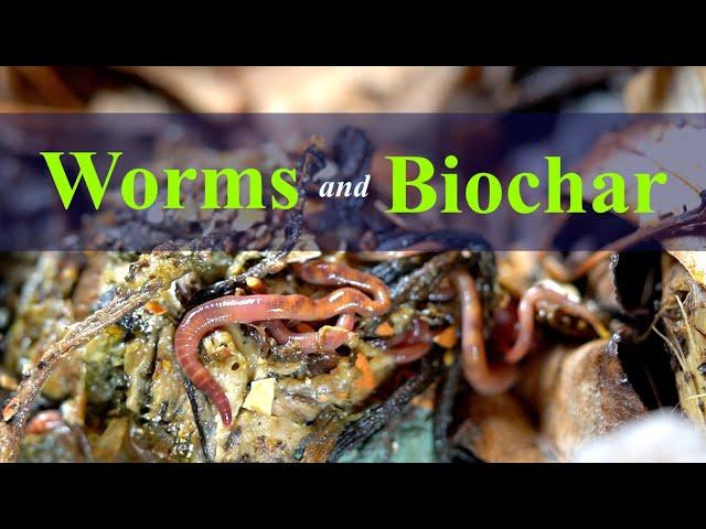 Worms and Biochar: Increase Microbial Bio-Diversity 2024