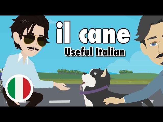 Learn Useful Italian: Portare a spasso il cane - Walk the dog