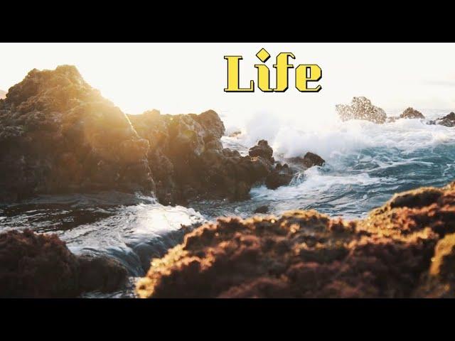 PEACE OF LIFE | Explore with Amna