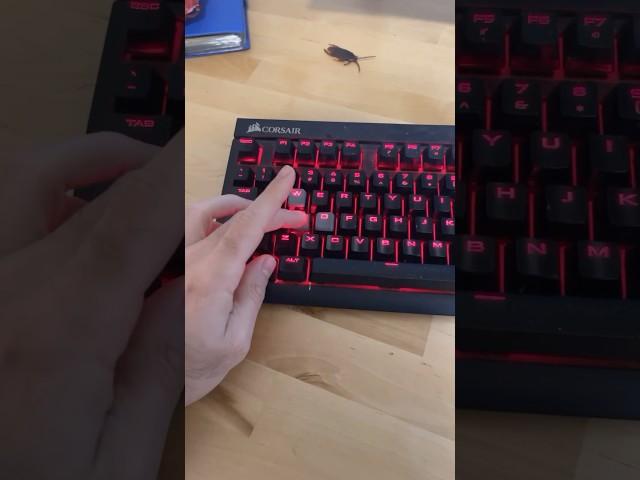 PC Tricks You Didn’t Know
