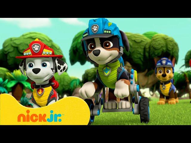 PAW Patrol | Dinosaurierabenteuer mit Rex! | Nick Jr. Deutschland