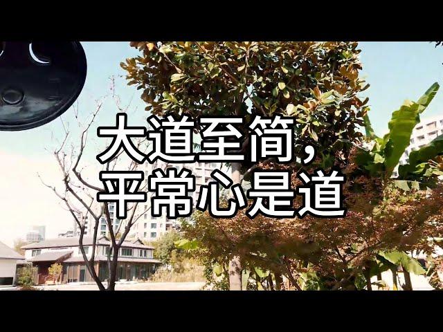 7.大道至简，平常心是道《禅门公案》