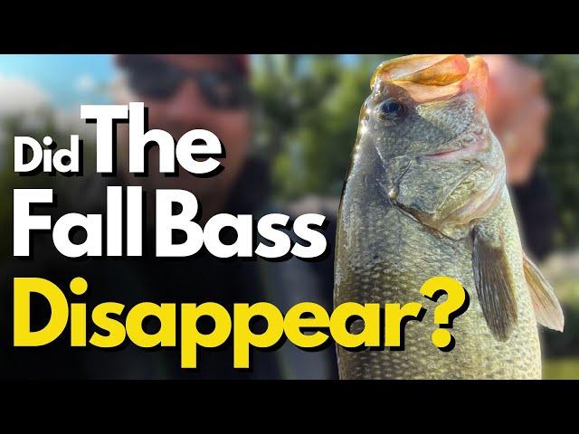 The Most Challenging Fall Bass Fishing Situation (And How to Beat It)