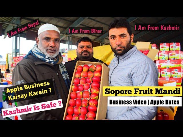 Apple Business in Kashmir | Sopore Mandi | Apple Rates | Kashmir is safe | Business Kaisay Karein ?