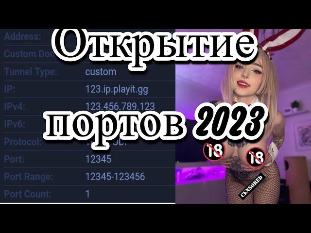 КАК ОТКРЫТЬ ПОРТЫ 2024 | PLAYIT 2024 | ОТКРЫВАЕМ ПОРТЫ БЕЗ ИСПОЛЬЗОВАНИЯ NGROK В 2024 ГОДУ