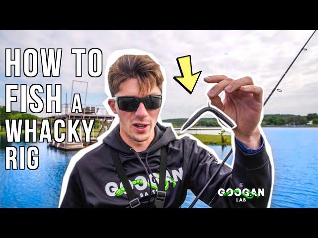 HOW and WHERE TO FISH a WHACKY RIG! ( LUNKER LOG TIPS )