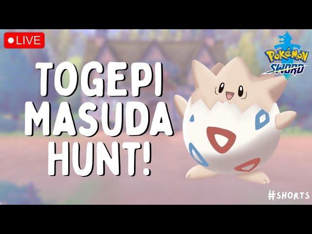  I HATCHED SHINY TOGEPI! (masuda method) | Live Stream | Pokémon Sword #shorts