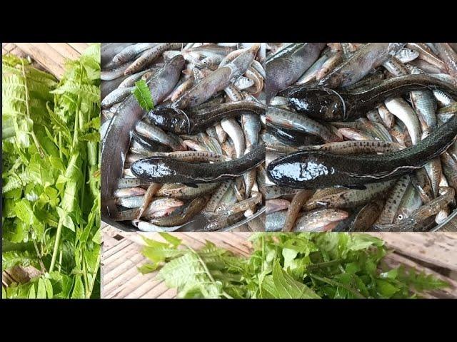 Fishing in Tanyak river nok vlogs