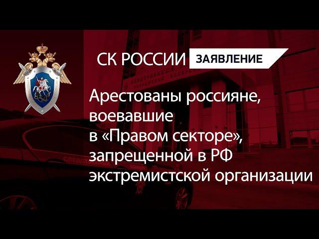 Арестованы россияне, воевавшие в «Правом секторе», запрещенной в РФ экстремистской организации