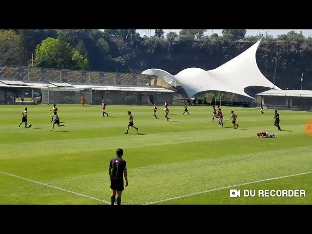 Sebastian Lutin - Goalkeeper highlight vs Pumas UNAM  Mexico 02/2019