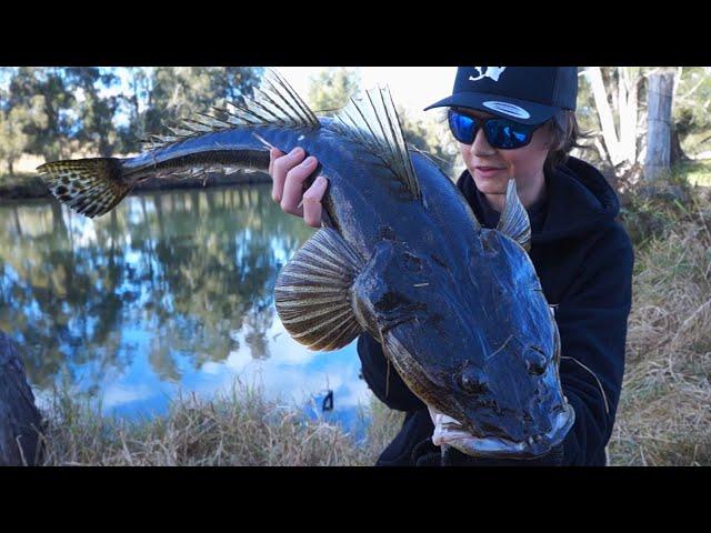 This Tiny Creek Holds Some Big Fish!