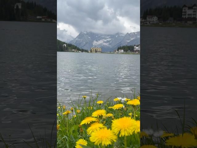 ️ Lago di Misurina ️ #lago #lake #travel #nature #mountains #views #beautiful