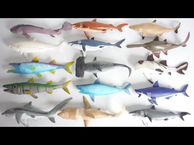 SHARK & Co. Complete set "unboxing" squishy DeAgostini Japanese candy toys