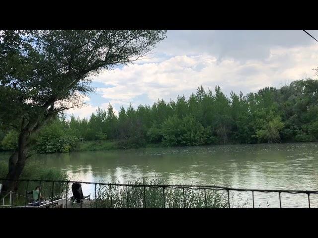 Timelapse - Danube wetlands