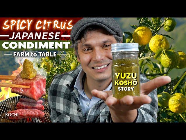 Japanese Spicy Citrus Condiment, not Wasabi? | Yuzu Kosho Story  ONLY in JAPAN