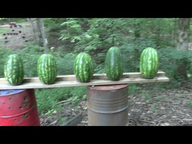 Colt Anaconda  44 Magnum VS Watermelons