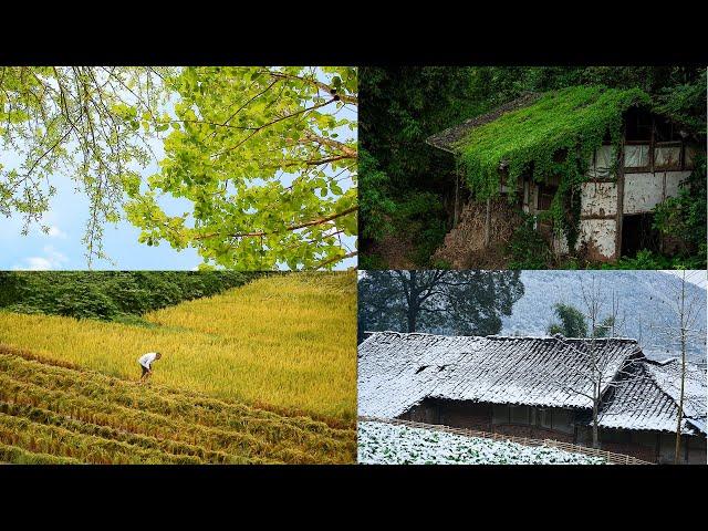 THE SEASON VIEW IN MY COUNTRYSIDELIFE || 小村庄的四季风景