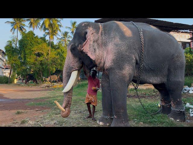 കേശവന് ജിലേബി കൊടുത്ത് അനീഷ്ഏട്ടൻ ️