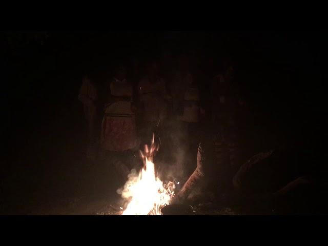 Call and response - Okavango Delta, Botswana