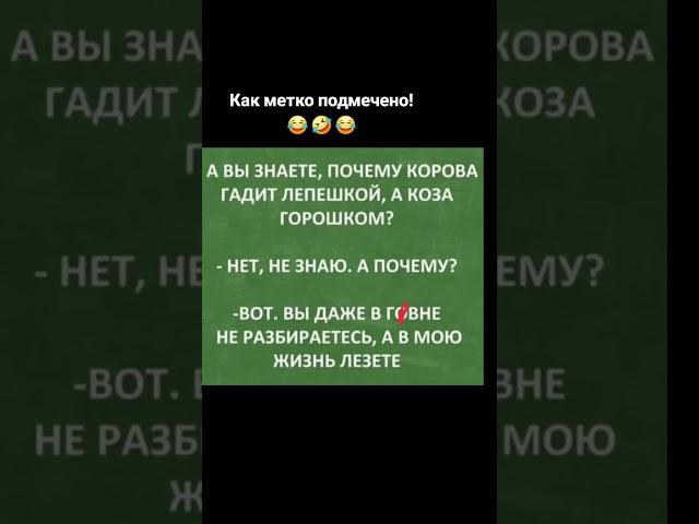 #флора #психология #отношения #любовь #семья #топ #популярное #тикток #лайк #интервью #жизнь #факты#