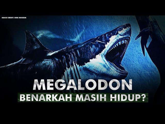 Apakah Selama Ini Kita Salah Tentang Megalodon? | Megalodon